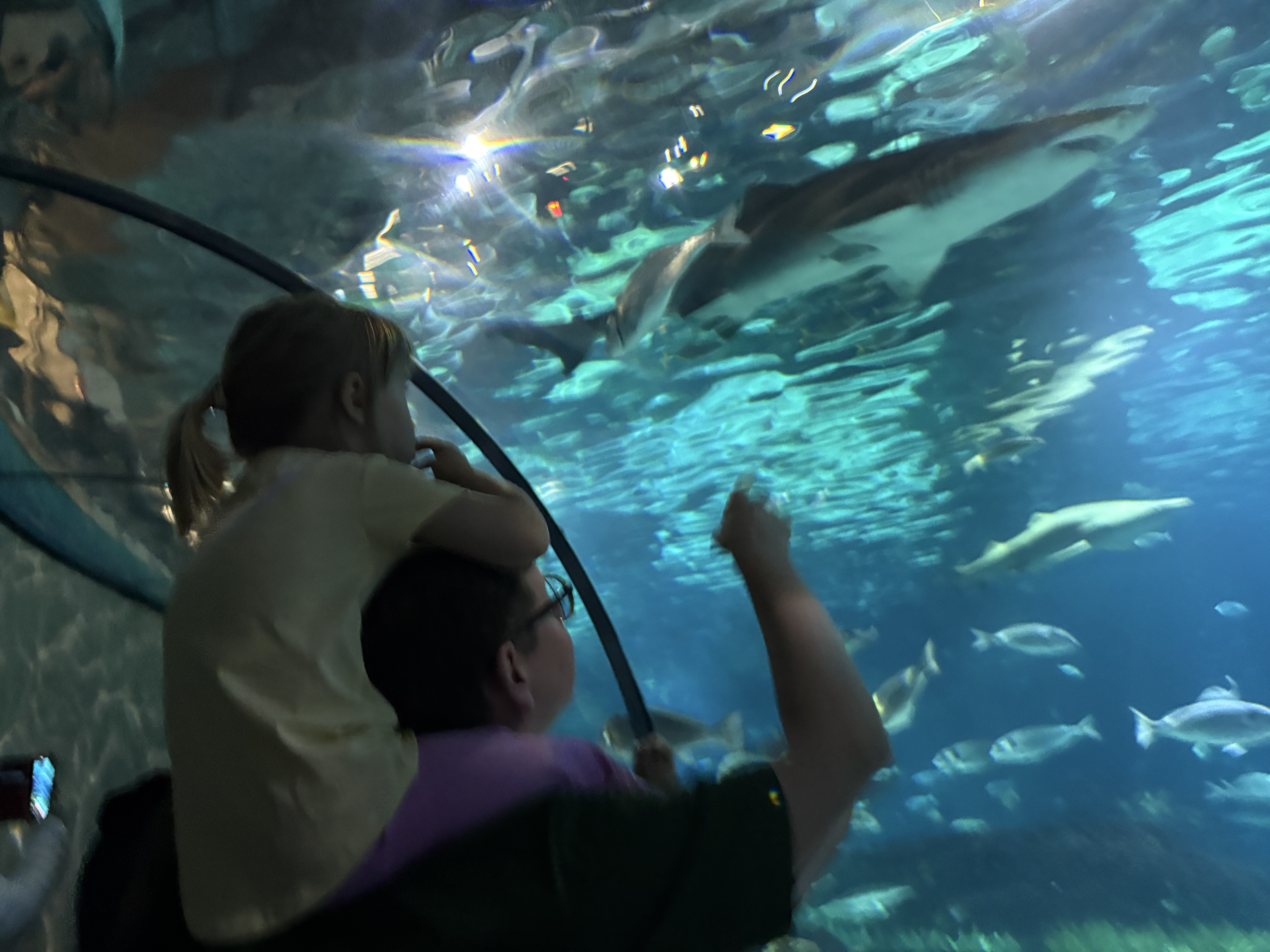 oceanarium